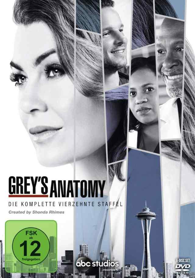 Grey's Anatomy Staffel 14 DVD