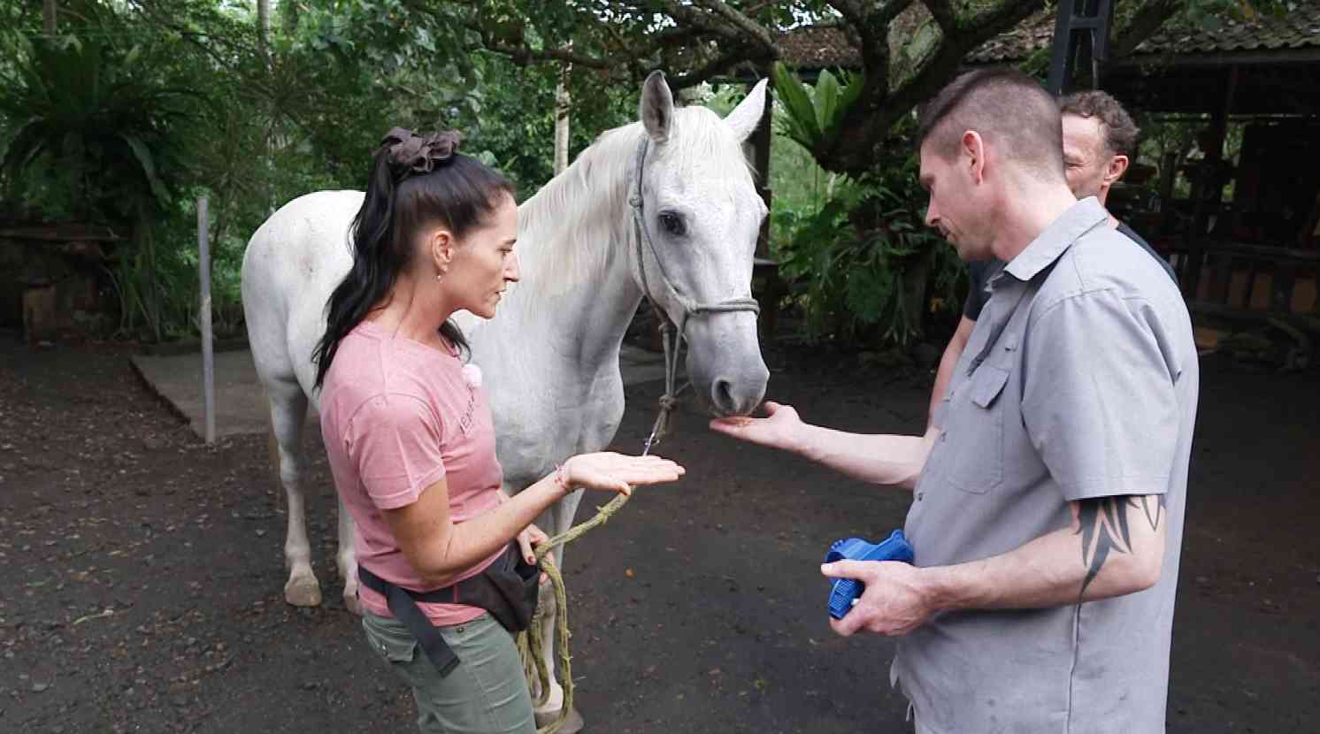 Bauer sucht Frau International