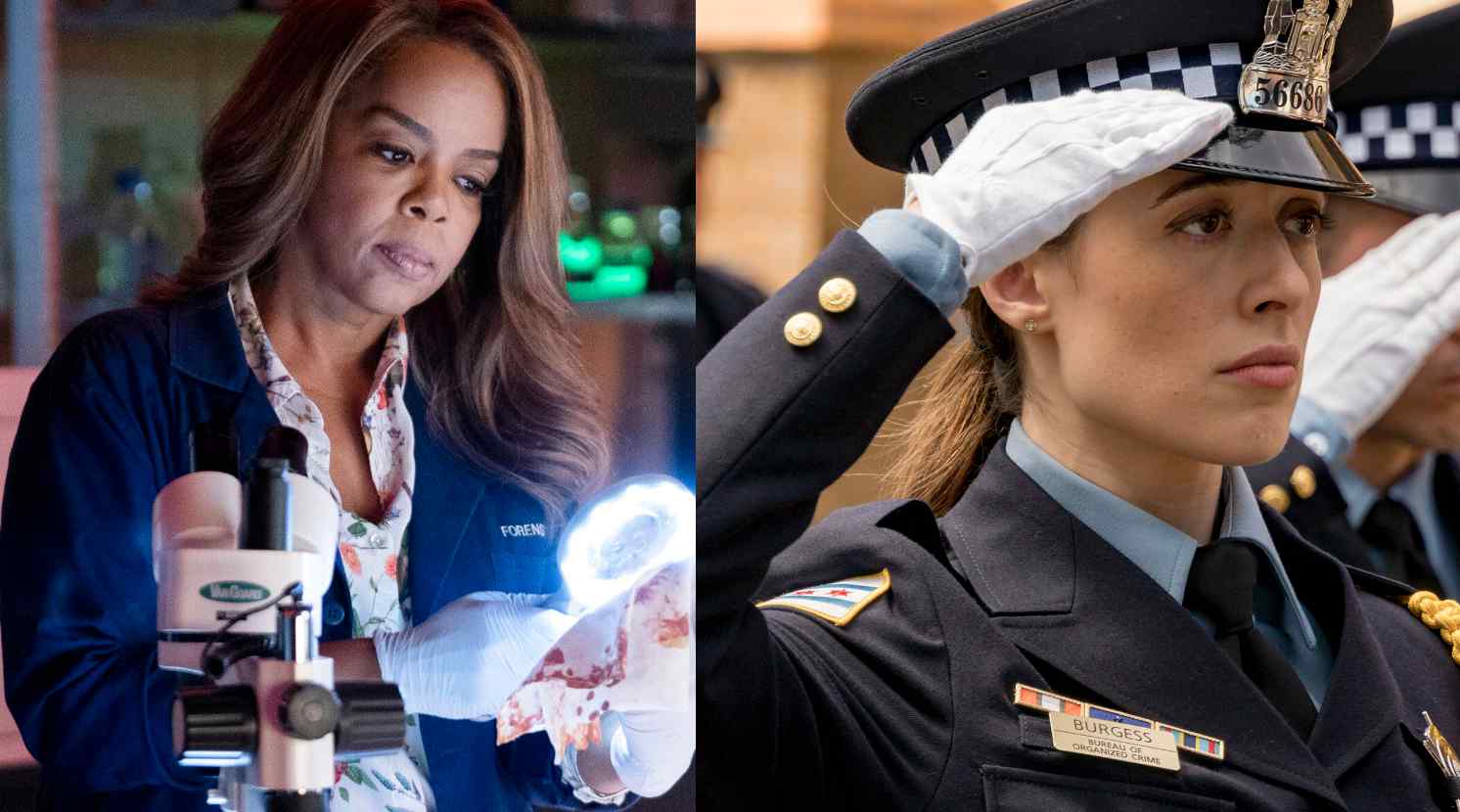 CSI: Vegas - Chicago P.D.