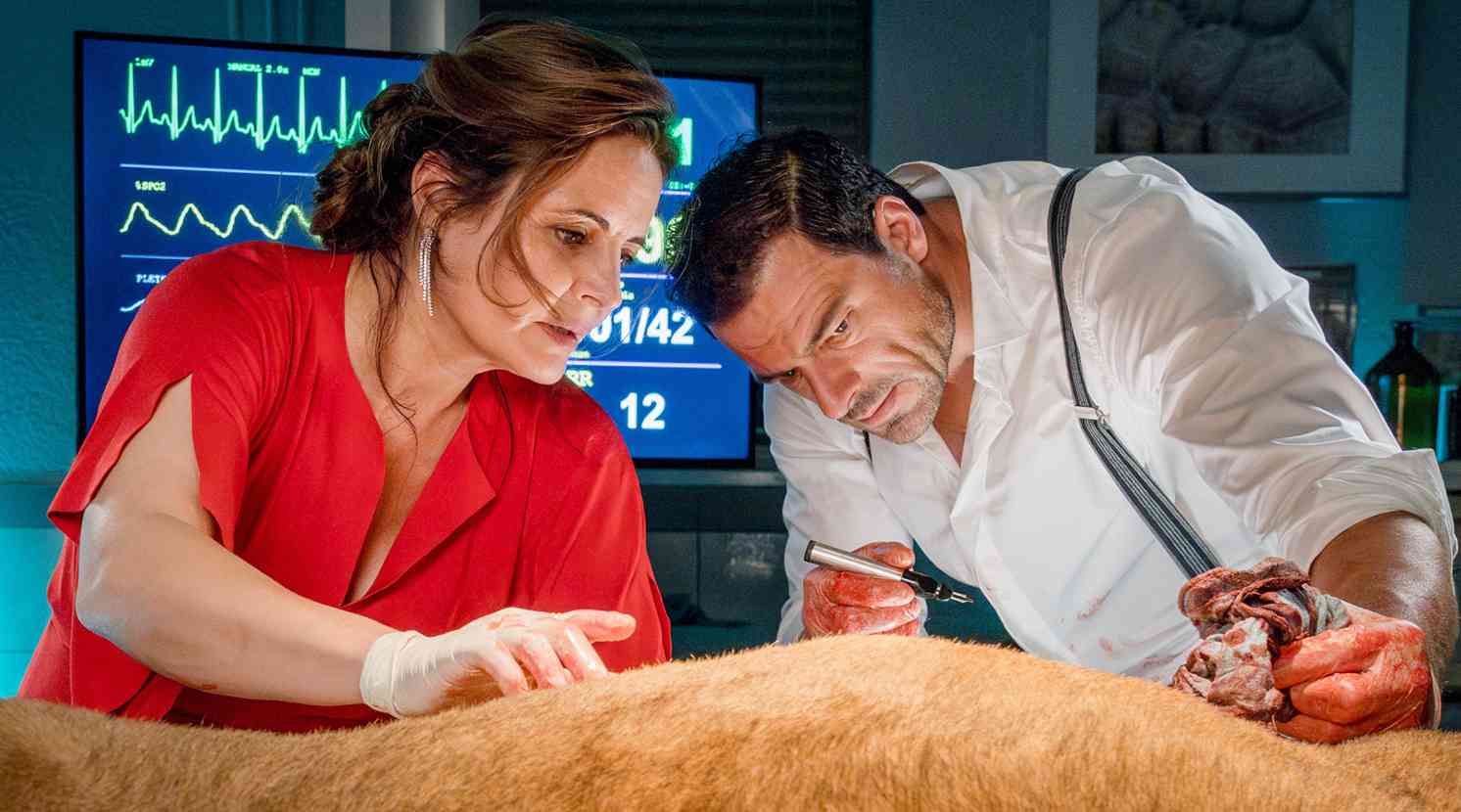 Tierärztin Dr. Mertens: Alles gut ist nicht genug