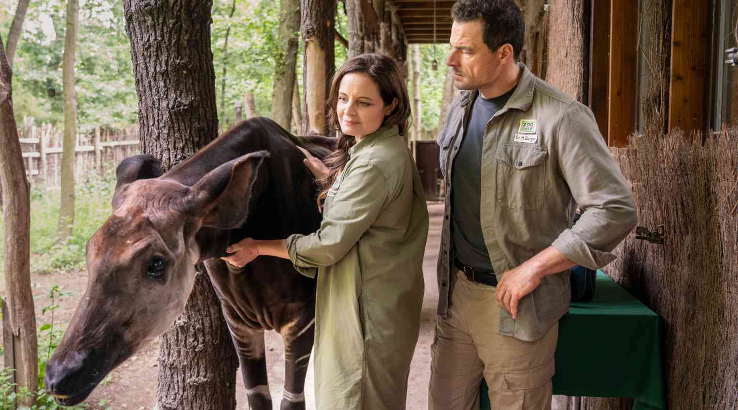 Tierärztin Dr. Mertens