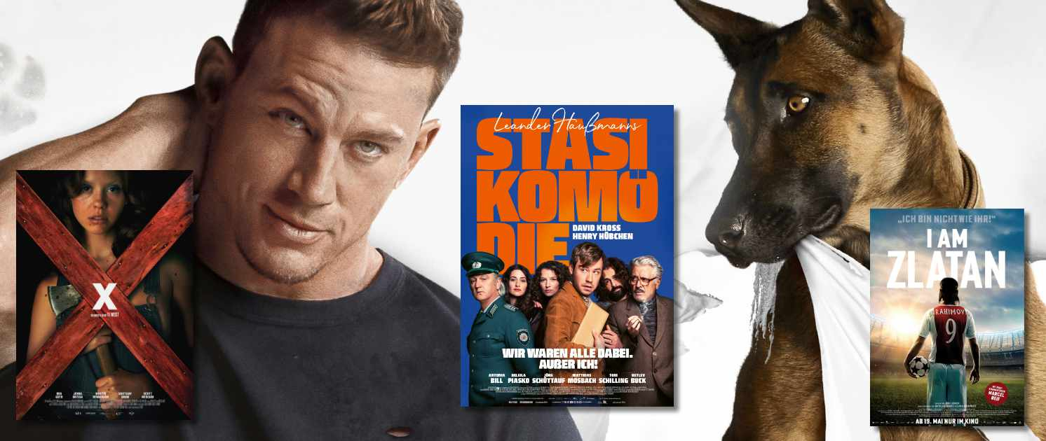 Kinotipps der Woche: „Dog“, „X“, „Stasikomödie“ und „I Am Zlatan“