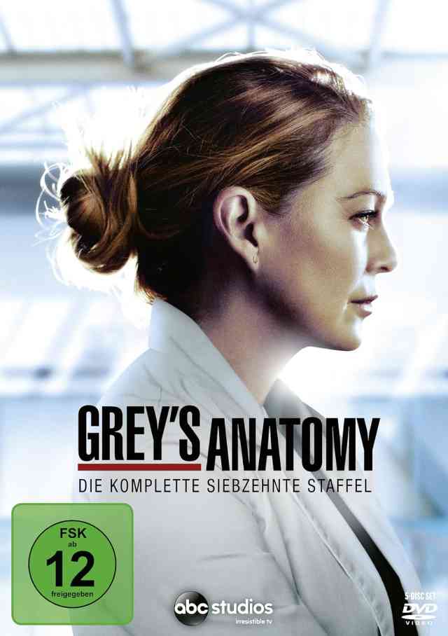 Grey's Anatomy 17 DVD